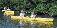 Kayakers on the water near Port Sanibel Marina, Fort Myers, Florida