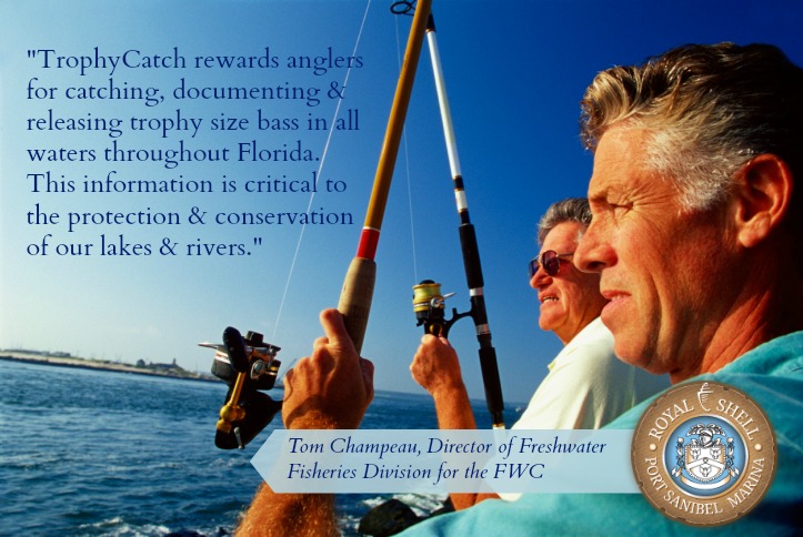 NEW TrophyCatch Program for Saltwater Fishing