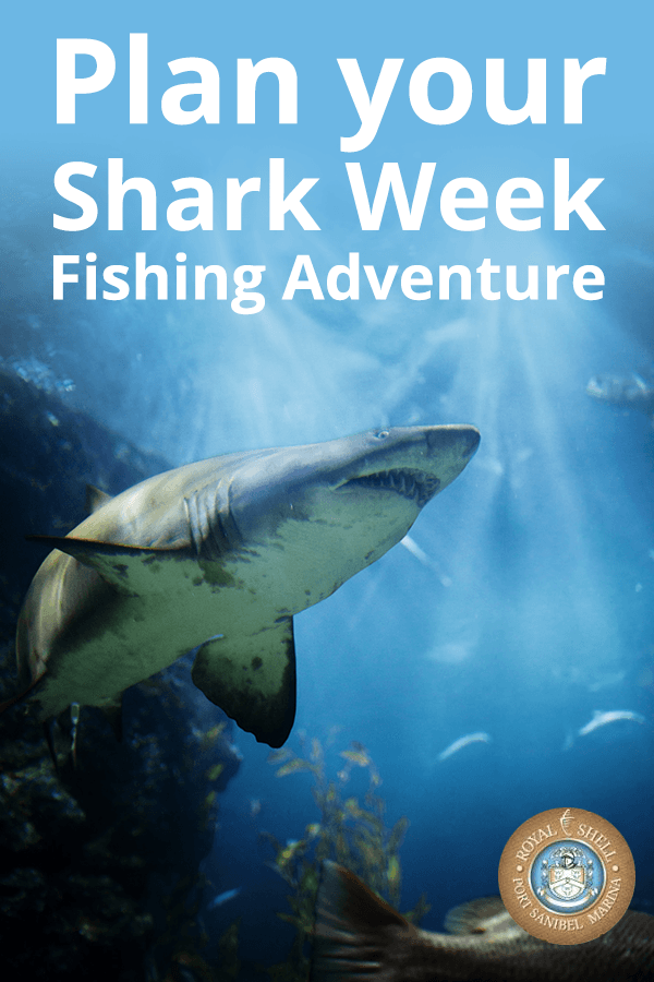 shark week fishing