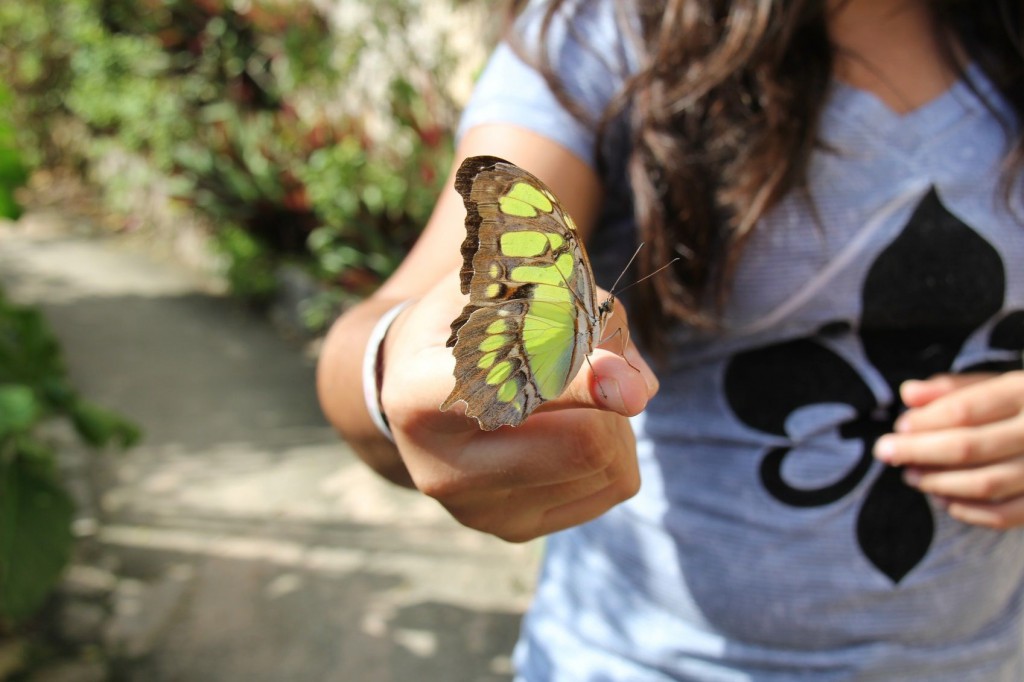 butterfly on woman's hand