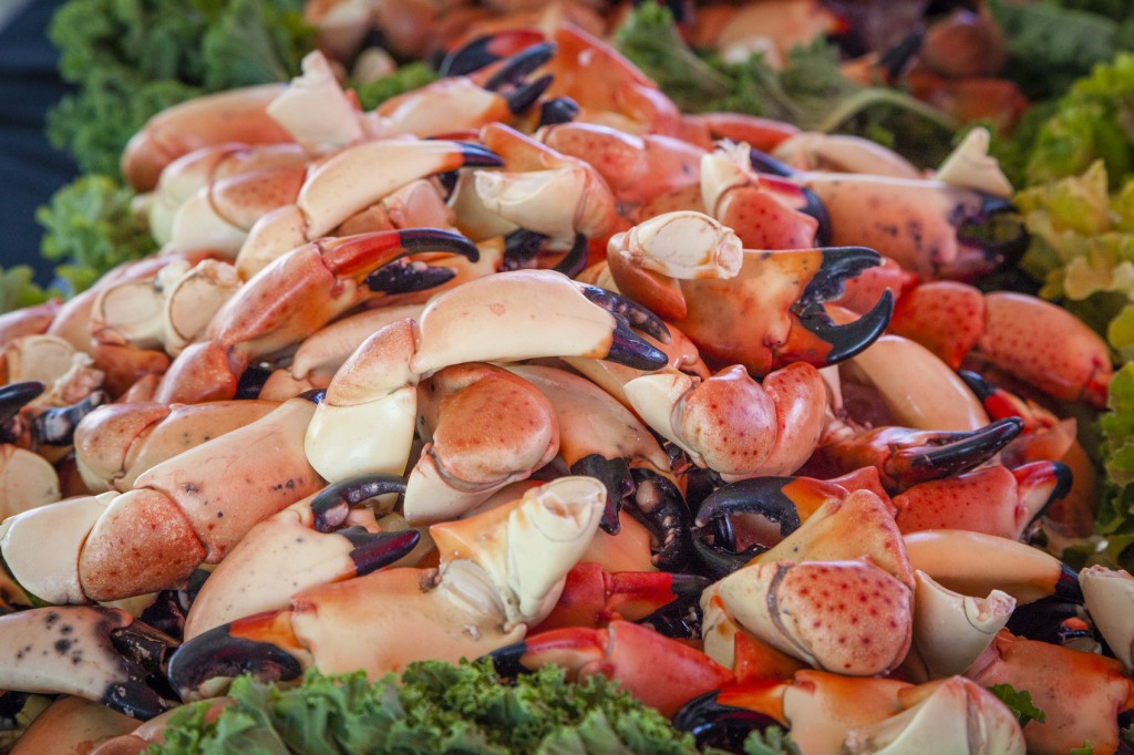 The 13 Answers to Your Florida Stone Crab Season Questions