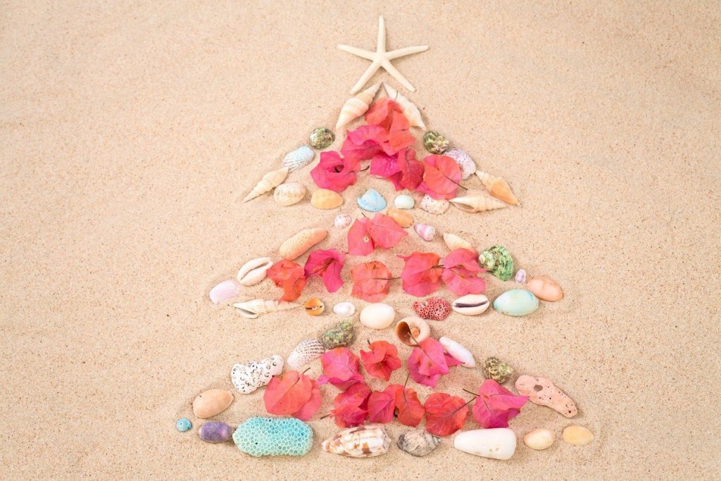 seashell Christmas decorations