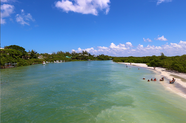 Sanibel and Captiva Island Beaches: Which are Better?