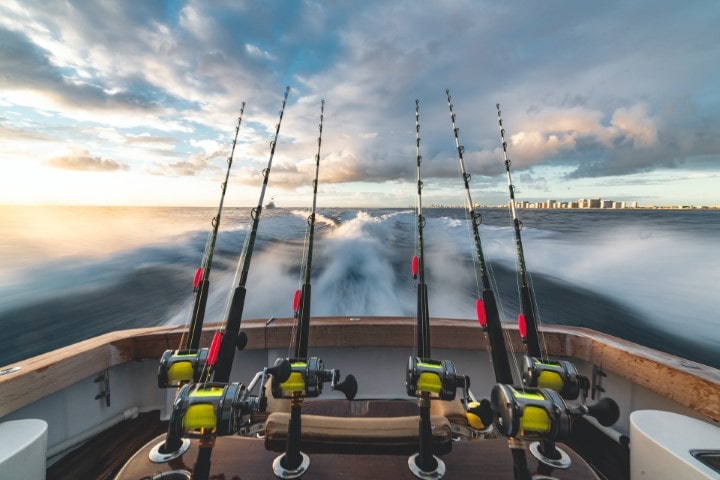 What Is the Best Time of Year to Go Deep-Sea Fishing in Florida