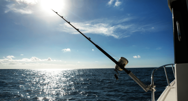 What are the two types of fishing rods