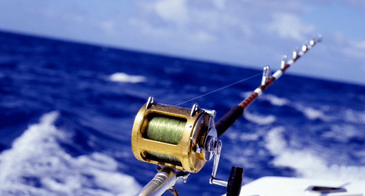 What is the best fishing rod to start with