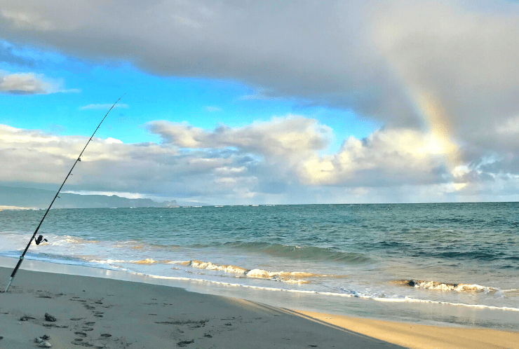 Spend a Day Shore Fishing in Florida