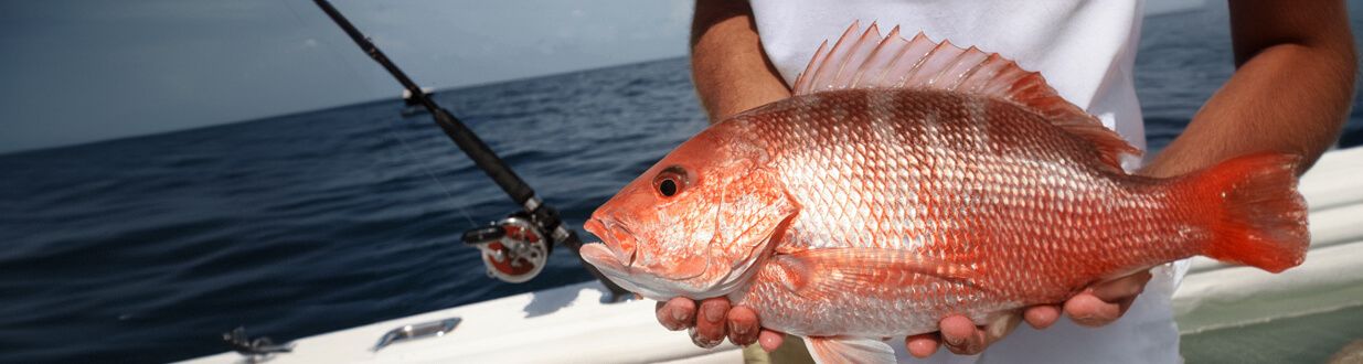 PSM-What-Inshore-Fish-Are-in-Season-in-Florida-images-min