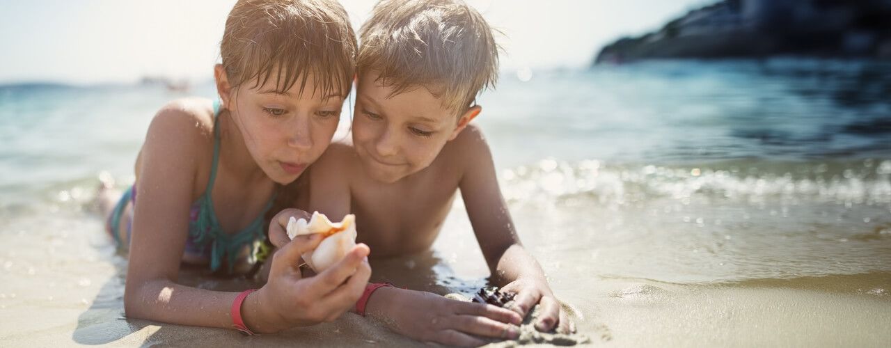 Where to Find Shells on Sanibel Island Port Sanibel Marina