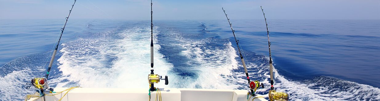 fishing rods off the back of a boat