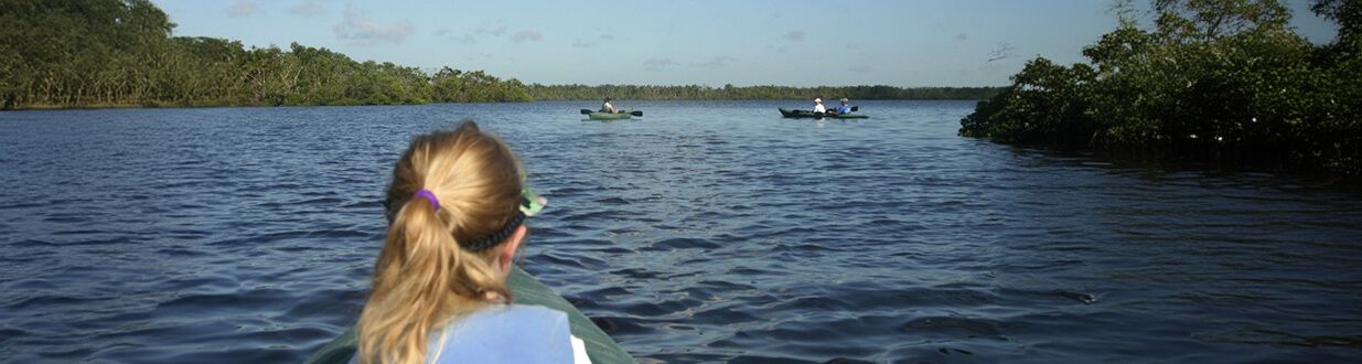 Port-Sanibel-Kayaking-in-nature