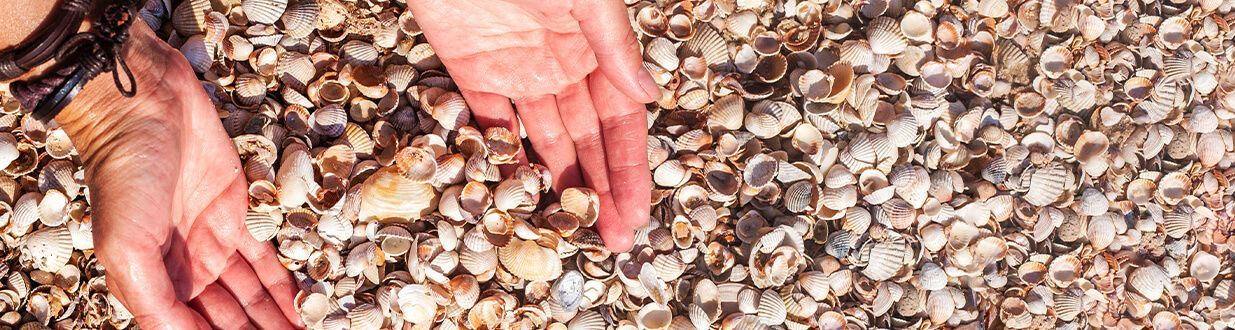 sanibel-island-off-season-collecting-shells-on-the-beach