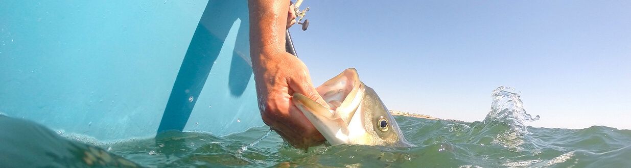 snook-fishing-in-southeast-florida