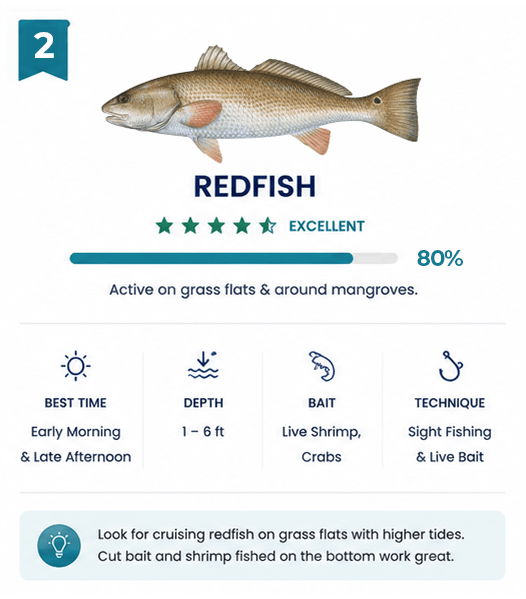 redfish-fish-card