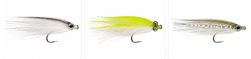 snook-fly-fishing-bait
