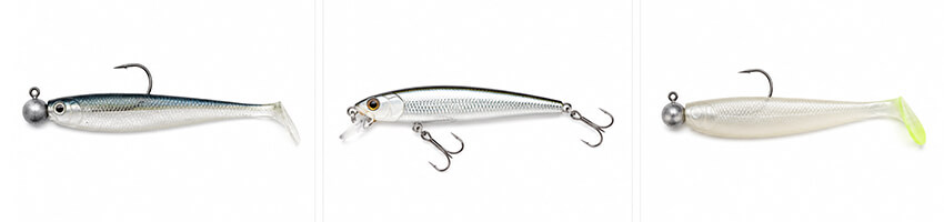 snook-spin-fishing-bait