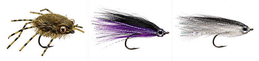 tarpon-fly-fishing-bait