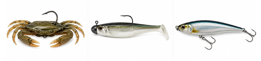 tarpon-spin-fishing-bait