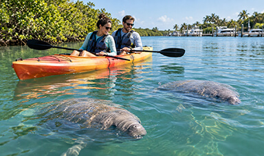 couple-kayaking-in-port-sanibel-marina-with-manatee