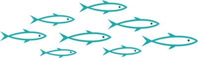 fish-school icon