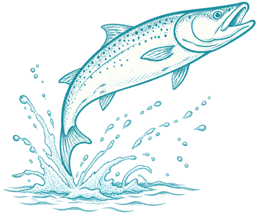 fish-transparent