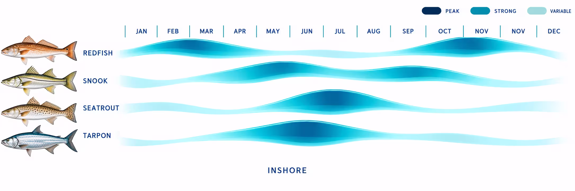 inshore-port-sanibel-marina