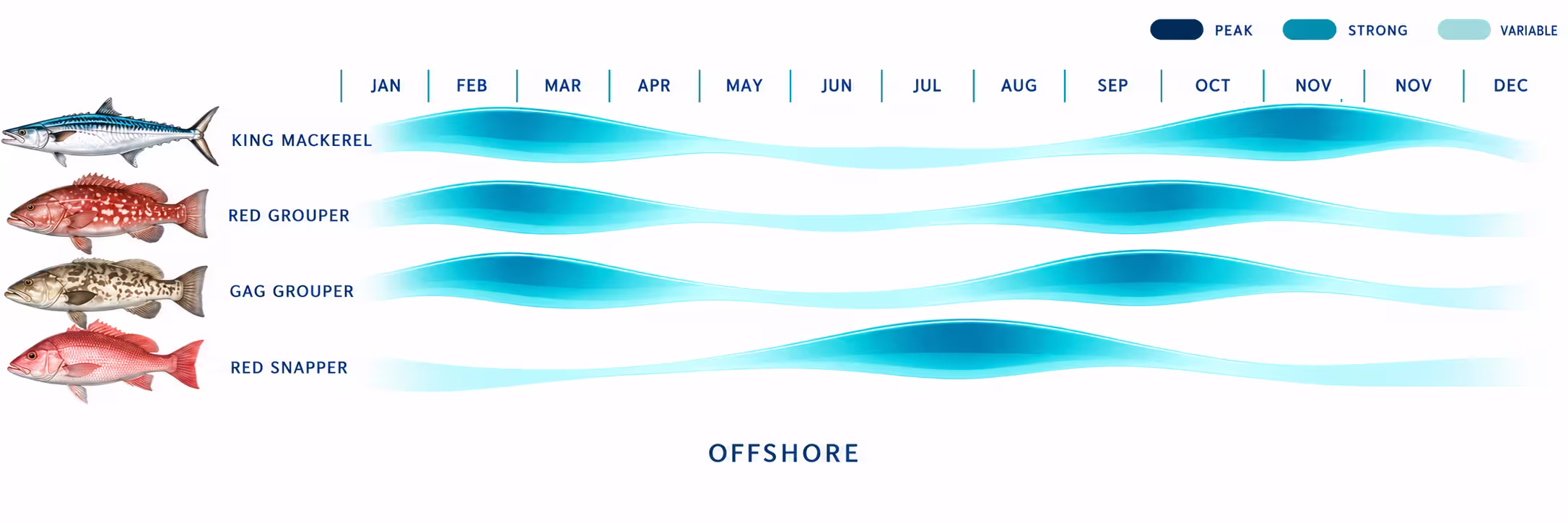 offshore-port-sanibel-marina