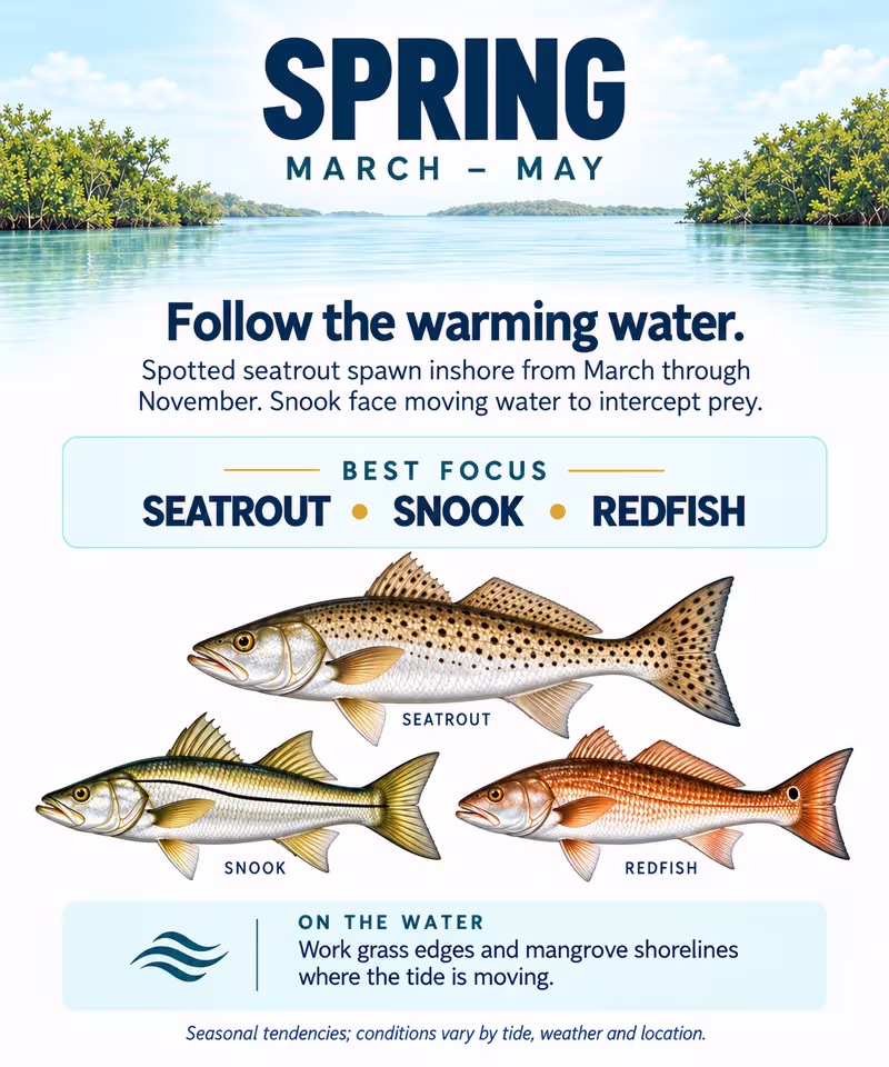 spring-fishing-card-port-sanibel-marina