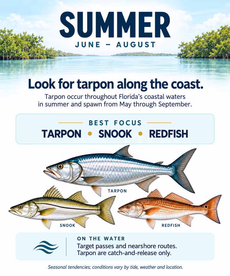 summer-fishing-card-port-sanibel-marina